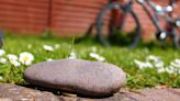 Family Uncovers Hidden Camera Disguised As Rock Pointed At Their House | iHeart