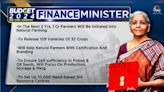 Budget 2024: Major announcements by FM Sitharaman for farmers' welfare - CNBC TV18