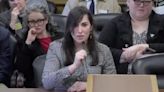‘Do you have a penis’: Arkansas lawmakers launch transphobic attack on witnesses during committee hearing