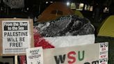 Group sets up pro-Palestinian encampment at Wayne State