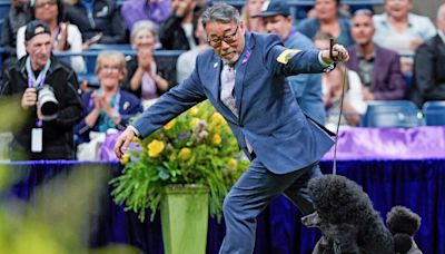 Kaz Hosaka, 65, Dies; Led Two Poodles to Westminster Glory