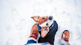 7 Ways to Protect Your Dog's Paws From Snow, Ice, and Salt This Winter
