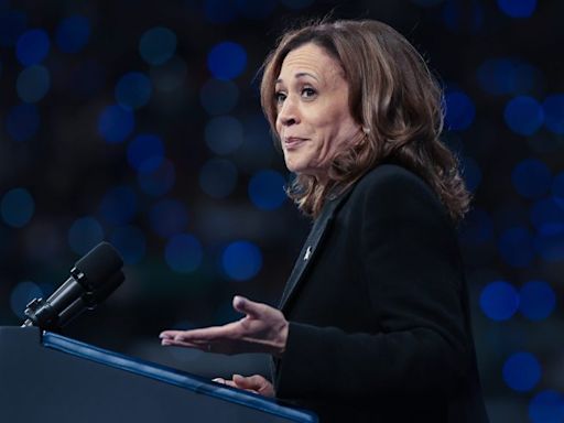 Blowing the Blue Wall? Democratic Strategists, Donors Fear Harris Is Slipping in Crucial Swing States