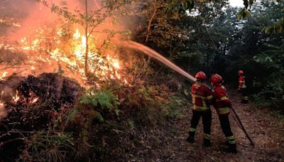 Thousands of firefighters battle 'raging' wildfires across Portugal