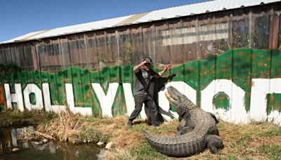 Did you know the alligator from ‘Happy Gilmore’ lives in Colorado?