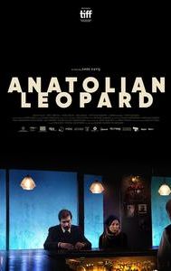Anatolian Leopard (film)
