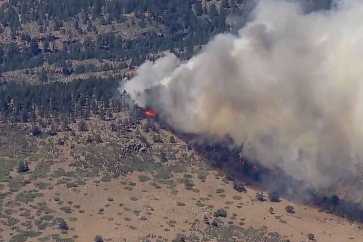 Human Remains Found in House Destroyed by Colorado's Stone Canyon Fire