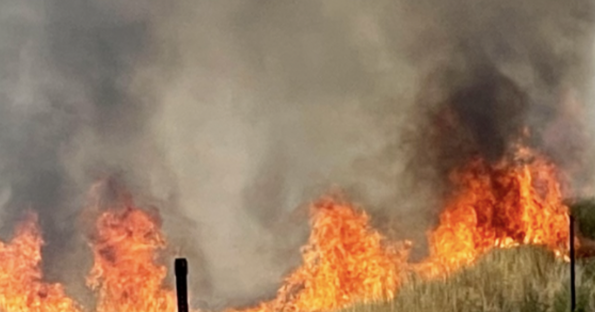 Local man dies following pickup truck crash that sparked brush fire, shut down road for several hours