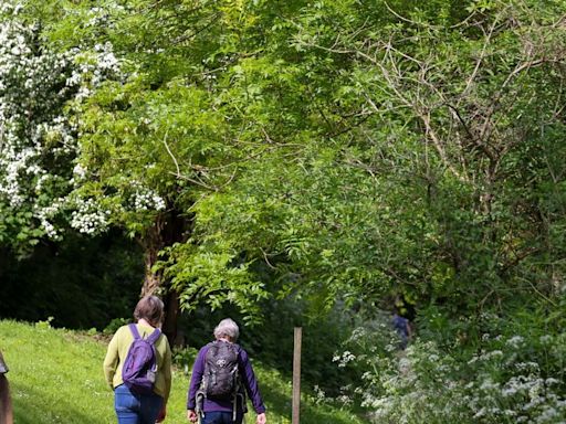 Met Office weekend weather forecast as Bristol bakes in 'heatwave'