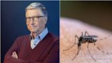 Por qué Bill Gates tiene una fábrica para producir mosquitos