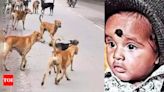 Pack of stray dogs maul infant to death in Hyderabad | Hyderabad News - Times of India