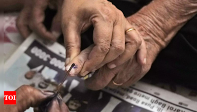 Home Voting: West Delhi seat records highest turnout in Delhi | India News - Times of India