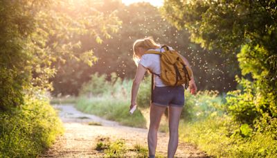 20 Common Pictures of Bug Bites and How to Identify Their Symptoms