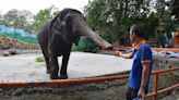 ‘World’s saddest elephant’ who lived alone in Manila Zoo for more than 40 years, dies