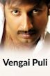 Vengai Puli