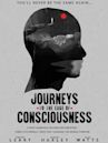 Journeys to the Edge of Consciousness