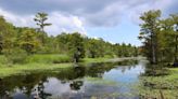 Old Santee Canal Park is a quiet oasis where nature and history can be explored together