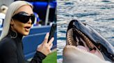 Whales use a sound similar to Kim Kardashian's 'vocal fry' to hunt deep sea prey, say scientists