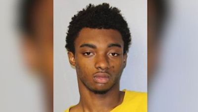 Gainesville teen steals car with child inside, police say