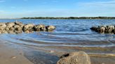 Living shoreline in Navy Point appears to be crumbling. Should county repair or remove it?