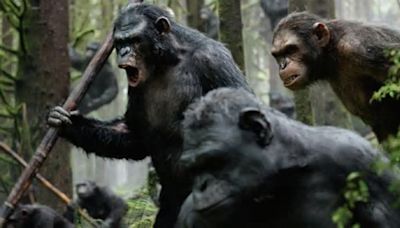 How to watch the entire Planet of the Apes saga and chronological order of the movies