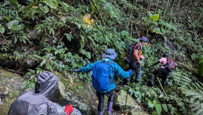 桃園南插天山溪水暴漲8登山客受困 消防員跋山涉水救援