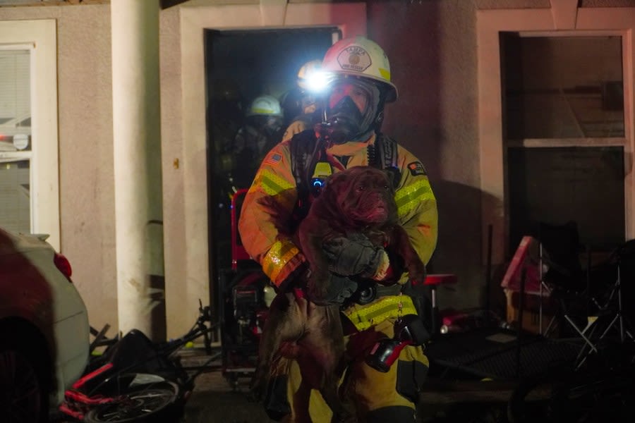 3 dogs rescued from house fire caused by electric scooters