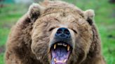 On Wall Street bearish investors are out of favor—but there’s mounting evidence they are right about the stock market outlook