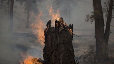 Muslim mob attacks Christian man over alleged blasphemy, sets house on fire in Pak's Sargodha