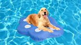 Yes, Amazon sells pool floats made especially for dogs. Go fetch one!