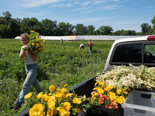 How the Shock of Catastrophic Floods Is Changing Farming in Vermont