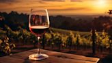 Del viñedo a la copa, los secretos de los vinos de alta gama patagónicos