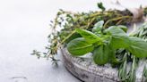 Vous allez trouver le sommeil en 30 minutes seulement grâce à cette plante aromatique