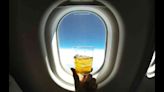 High on: Is it a bad idea to drink alcohol on an airplane?