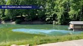 Smith Mountain Lake receives $150,000 to research algae blooms following last year’s harmful outbreak