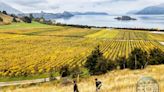 【紐西蘭瓦納卡2】打卡最美酒莊！滑雪運動員在湖光山色裡 釀出世界頂級葡萄酒 - 鏡週刊 Mirror Media