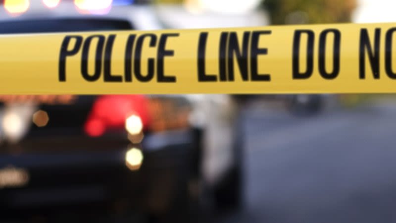 Man, woman found dead in Brooklyn: police