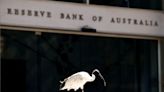 Factbox-Potential candidates as next chief of Australia's central bank