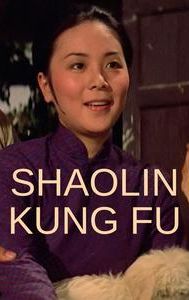 Shaolin Kung Fu