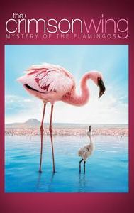 The Crimson Wing: Mystery of the Flamingos