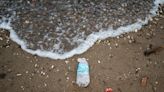 Julio sin plásticos: la consigna que busca visibilizar la crisis que está afectando a la salud mundial