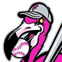 Flamingos lose 2nd straight road game