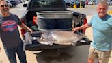 Arkansas angler beats state record with 127 lb. paddlefish