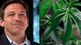 DeSantis Expected To Veto Florida Hemp Bill To Rally Opposition Against November Marijuana Legalization Vote