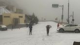 合歡山降雪 台14甲線29K(昆陽)至41K(大禹嶺)路段限加掛雪鍊通行