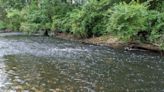 The layers of wading into an urban waterway for the first time