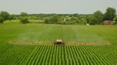 Consumer Reports | Finding produce without pesticides