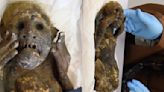 Scientists reveal secrets of mysterious 'mermaid mummy' discovered in Japan