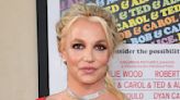 Insiders Claim Britney Spears' Memoir Has Thrown This Ex’s Family 'Into Chaos'