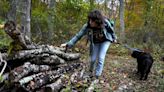 Falling hard for fungi. It's that time to eat and learn what the woods have to offer